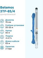 Насос 3TF-85/4 каб 65 м BELAMOS - интернет магазин ТД "Родионов"